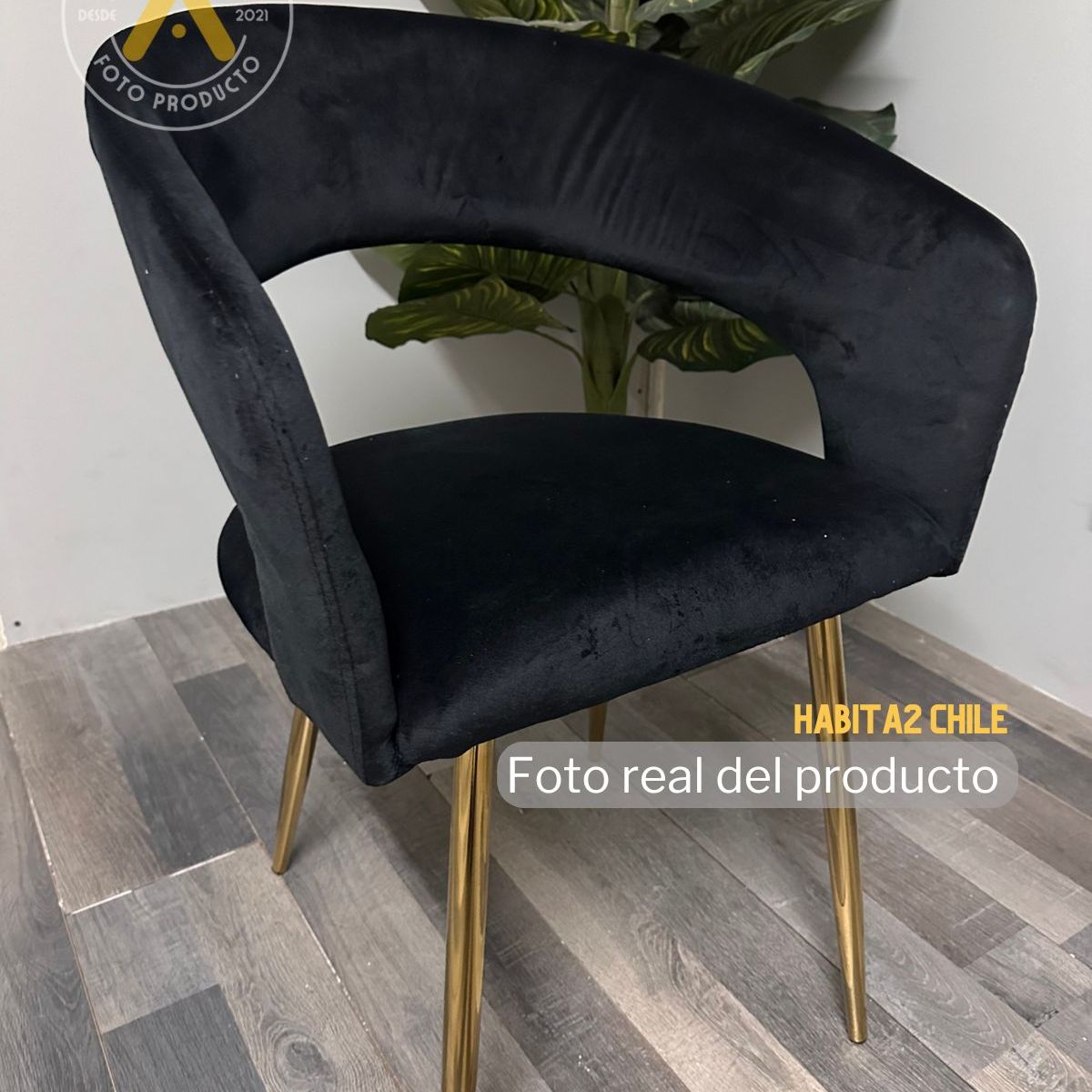 HABITA2 CHILE - Pack 4 Sitial Florencia Patas Doradas - Negro