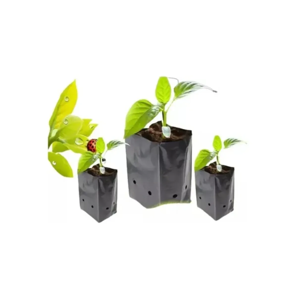 GENERICO - Bolsas Plantas Almacigos Agricola 20x20 100 Unidades