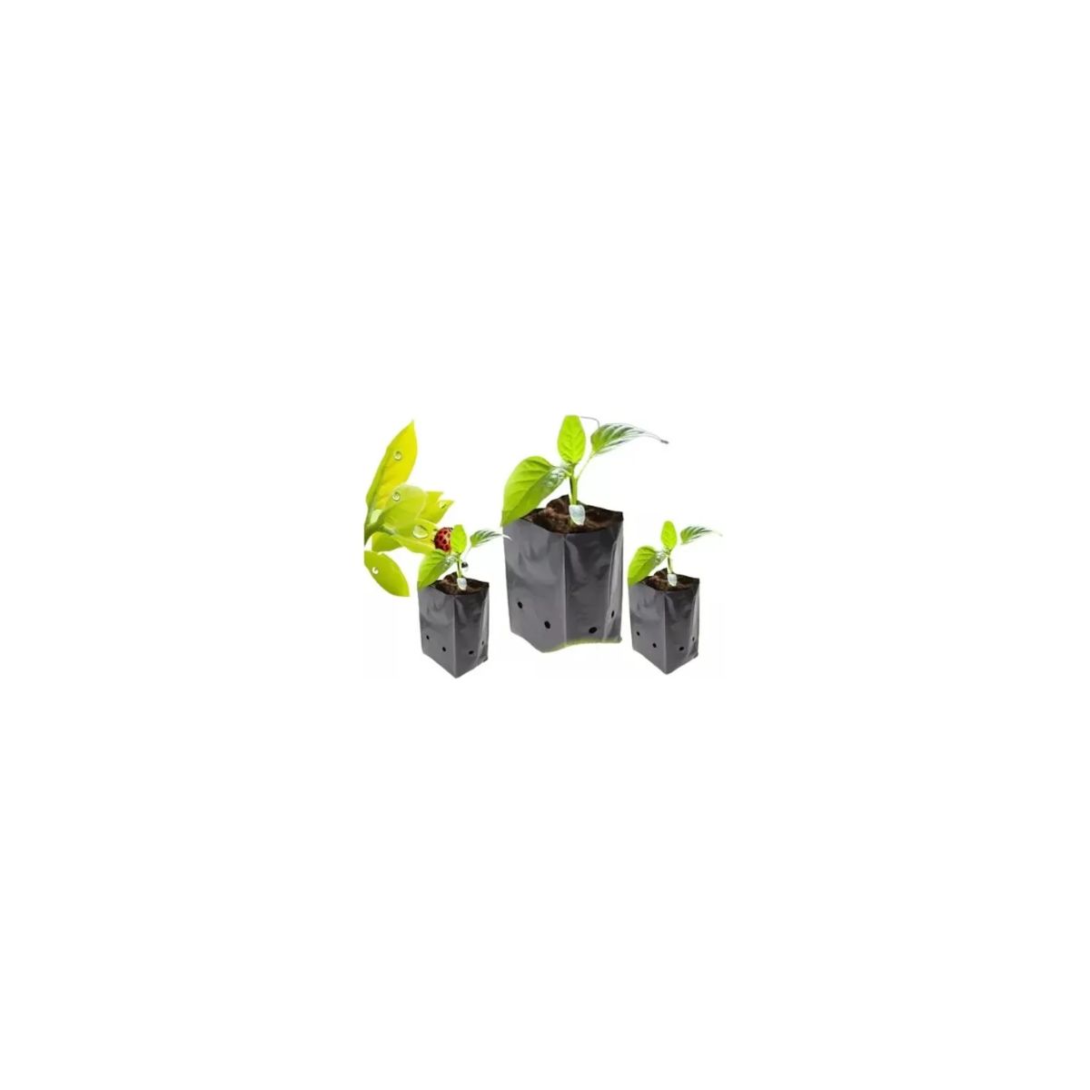 GENERICO - Bolsas Plantas Almacigos Agricola 20x20 100 Unidades