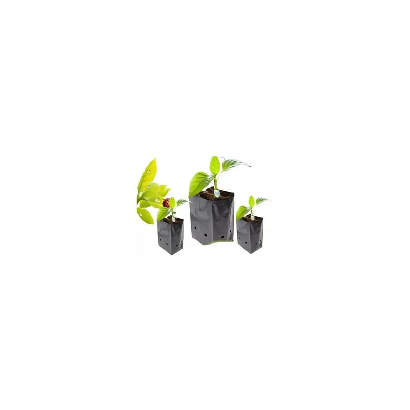GENERICO - Bolsas Plantas Almacigos Agricola 20x20 100 Unidades