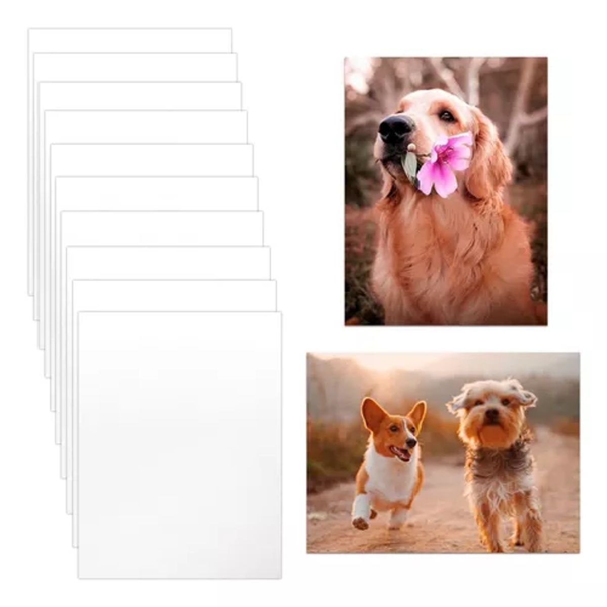 GENERICO - Pack de 10 placas metálicas sublimables color blanco 20x30 cm