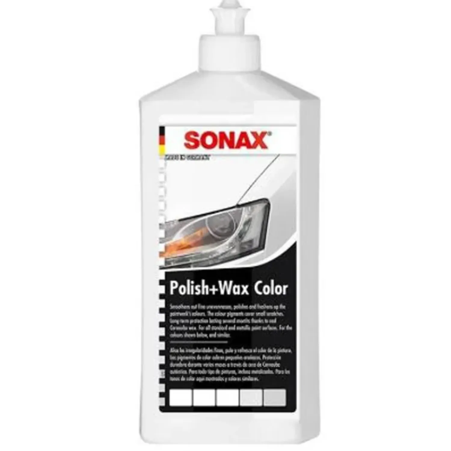 Coccothrinax sp. 'Cera Blanca' ヤシ スノーホワイトパーム(Coccothrinax Cera Blanca)[ヤシ苗] 販売店