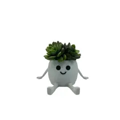GENERICO - Mini macetero - Macetero Feliz