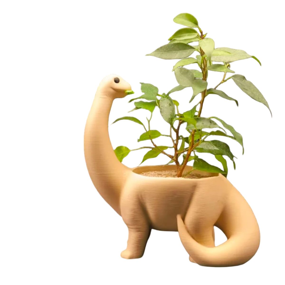 GENERICO - Macetero - Diseño Dinosaurio