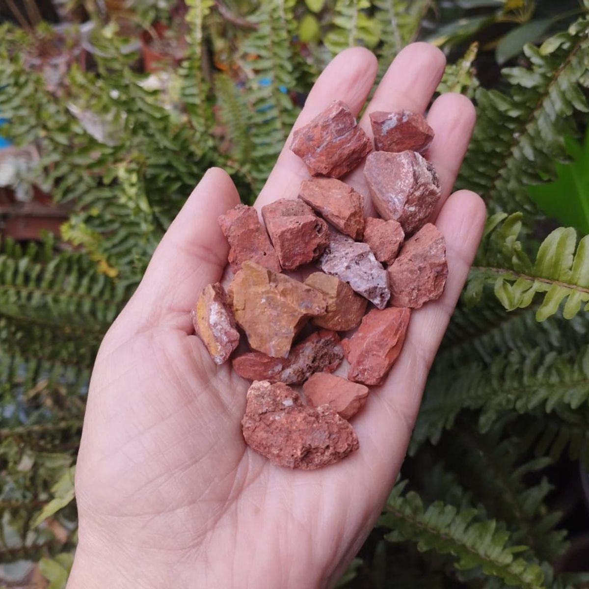 GENERICO - Piedra Decorativa Jaspe Rojo  en bruto Formato 1 kg. Gravilla