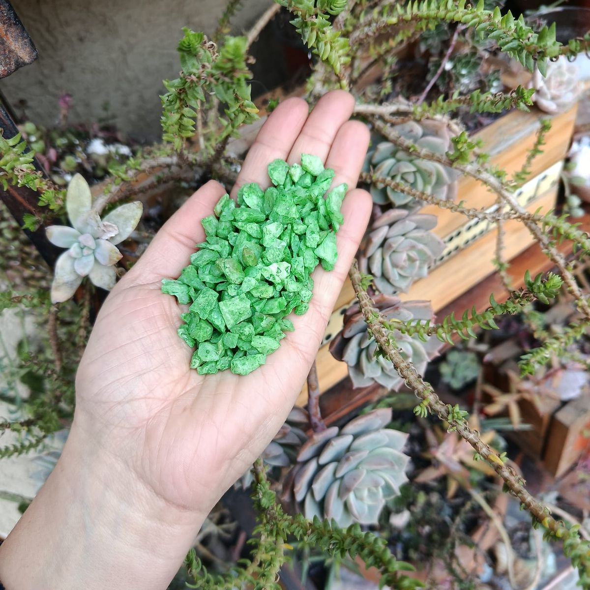 GENERICO - Cuarzo Tamaño Arroz Pigmentado Decorativo Verde Claro 1kg