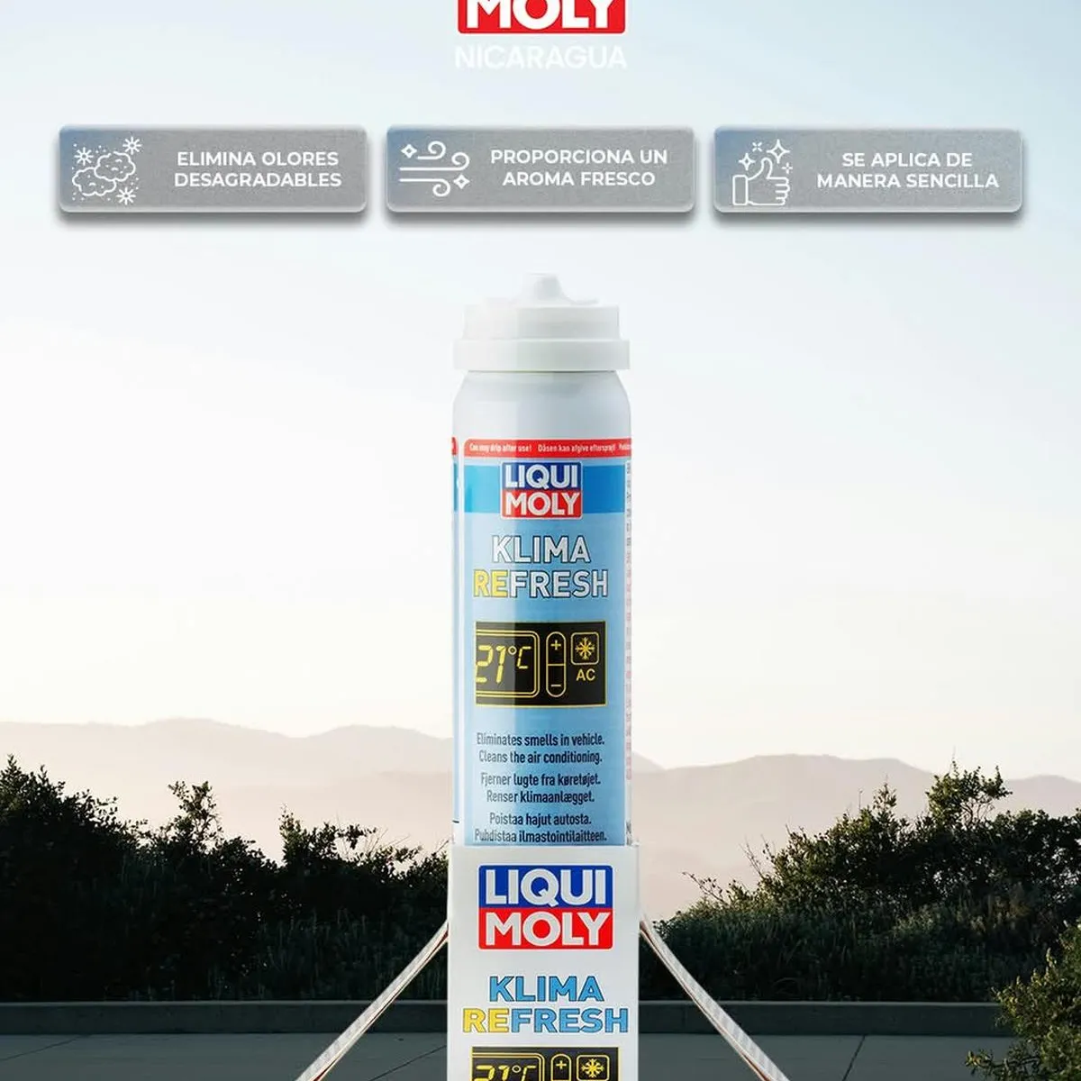 GENERICO - Limpiador Aire Acondicionado Klima Refresh 75ml Liqui Moly