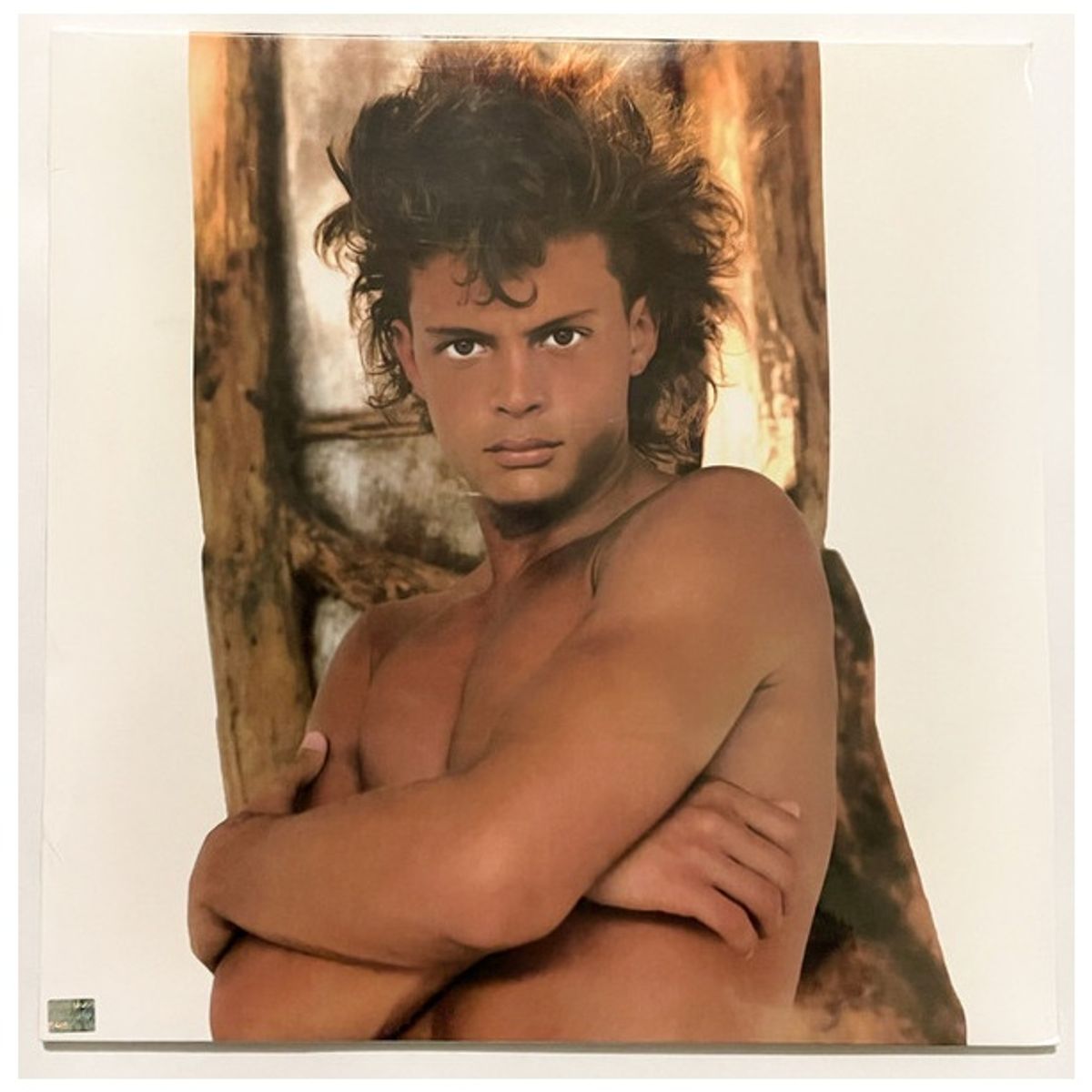 GENERICO - LUIS MIGUEL - BUSCA UNA MUJER / VINILO