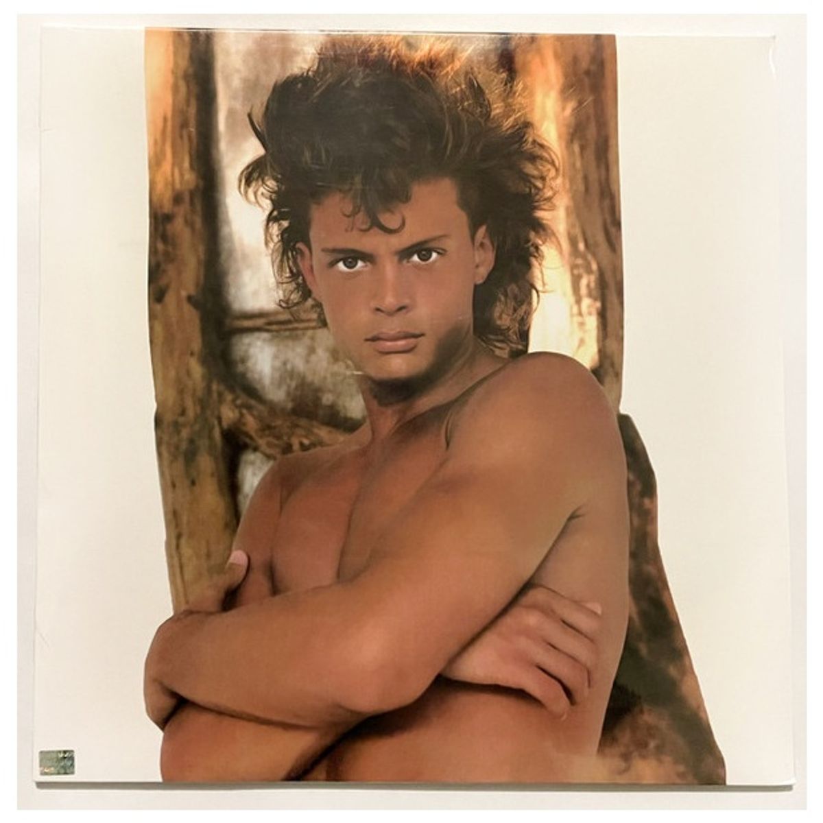 GENERICO - LUIS MIGUEL - BUSCA UNA MUJER / VINILO