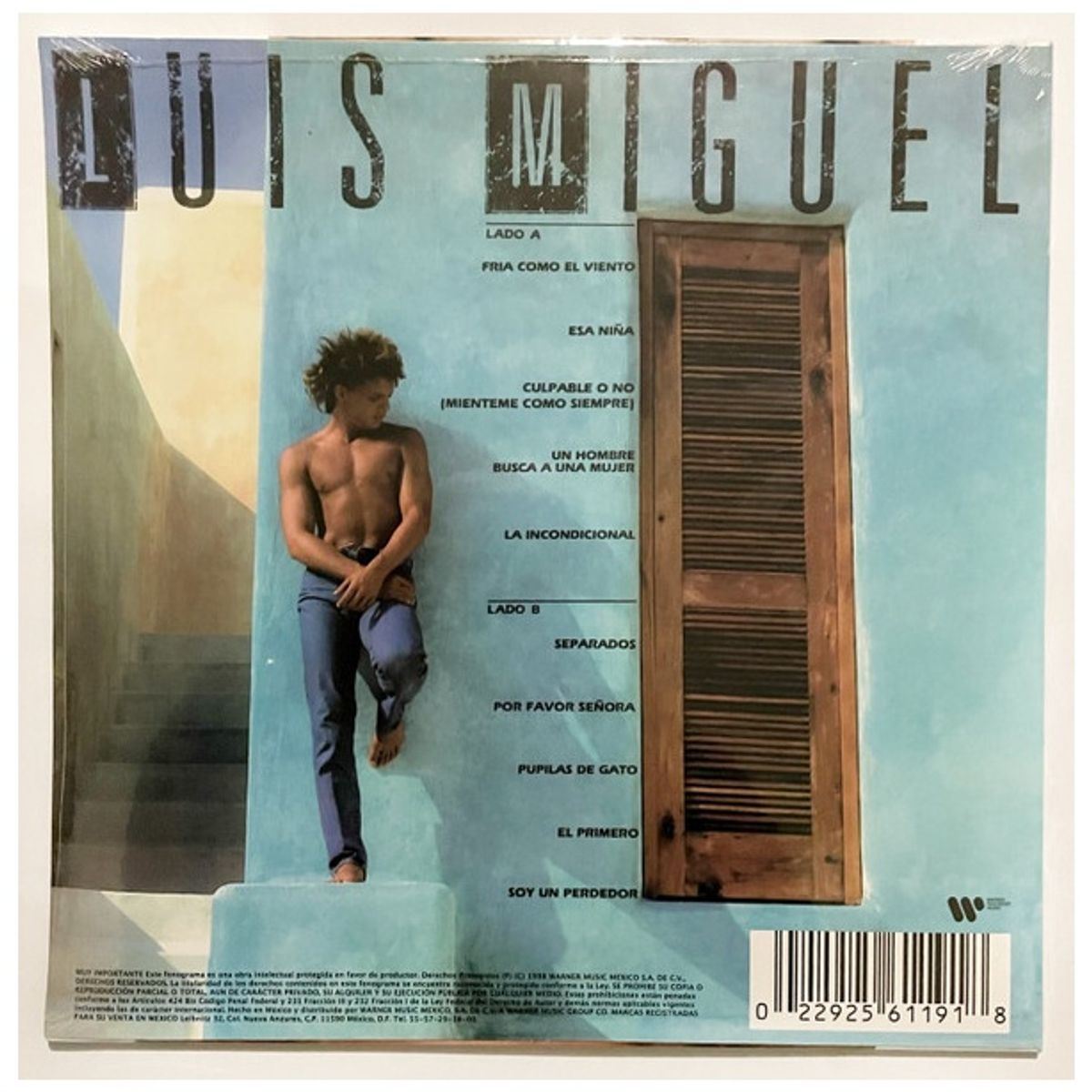 GENERICO - LUIS MIGUEL - BUSCA UNA MUJER / VINILO
