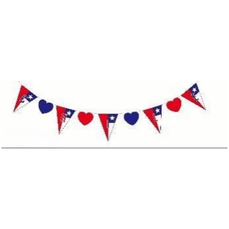 HOMESTAR - Guirnalda de Banderines y Corazones Tricolor Fiestas Patrias - 5m