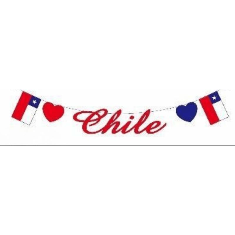 HOMESTAR - Guirnalda de Decoración "Viva Chile" - Fiestas Patrias - 5 m