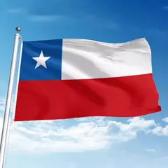 HOMESTAR - Bandera Chilena Tradicional - 144x96 cm