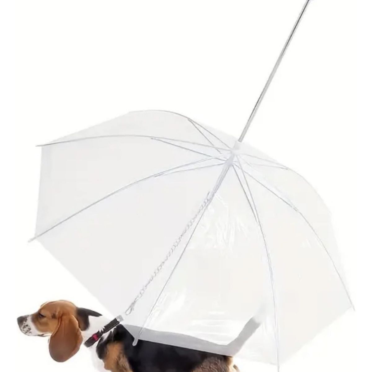 GENERICO - Paraguas para mascotas Perros - Gatos