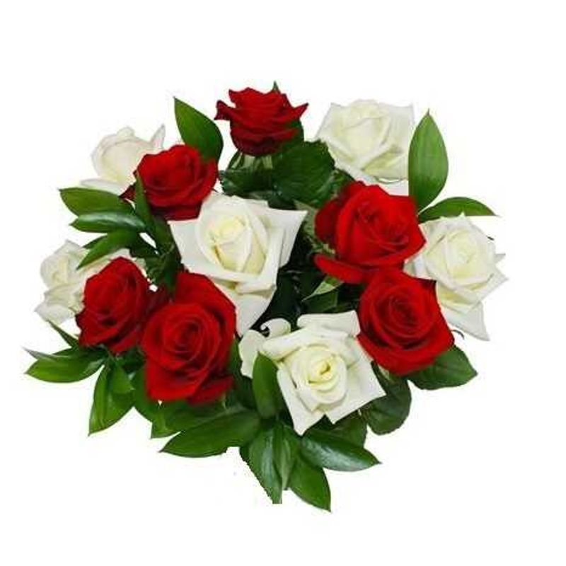 GENERICO - Ramo de 12 Rosas Rojas y Blancas