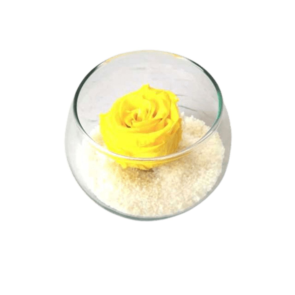 GENERICO - Rosa Preservada Amarilla en Pecera