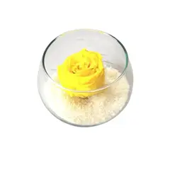 GENERICO - Rosa Preservada Amarilla en Pecera