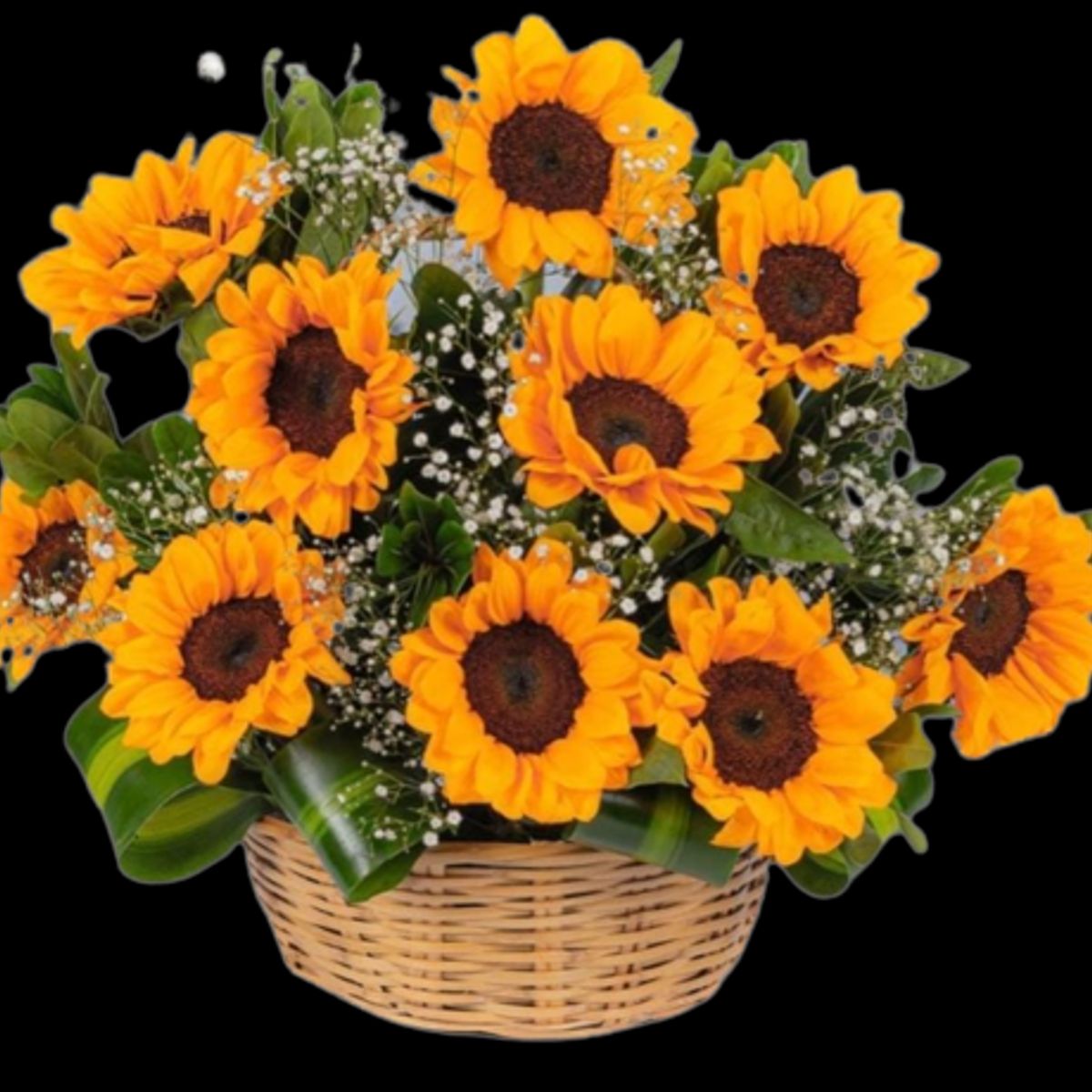 GENERICO - Canasta de 10 Girasoles