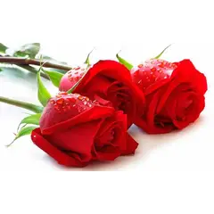 GENERICO - 3 Rosas a granel