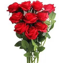 GENERICO - 10 Rosas a granel