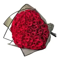 GENERICO - Ramo de 100 Rosas Rojas