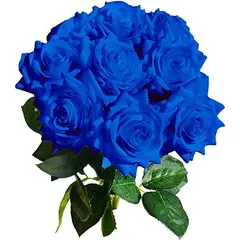 GENERICO - Ramo de 24 Rosas Azules