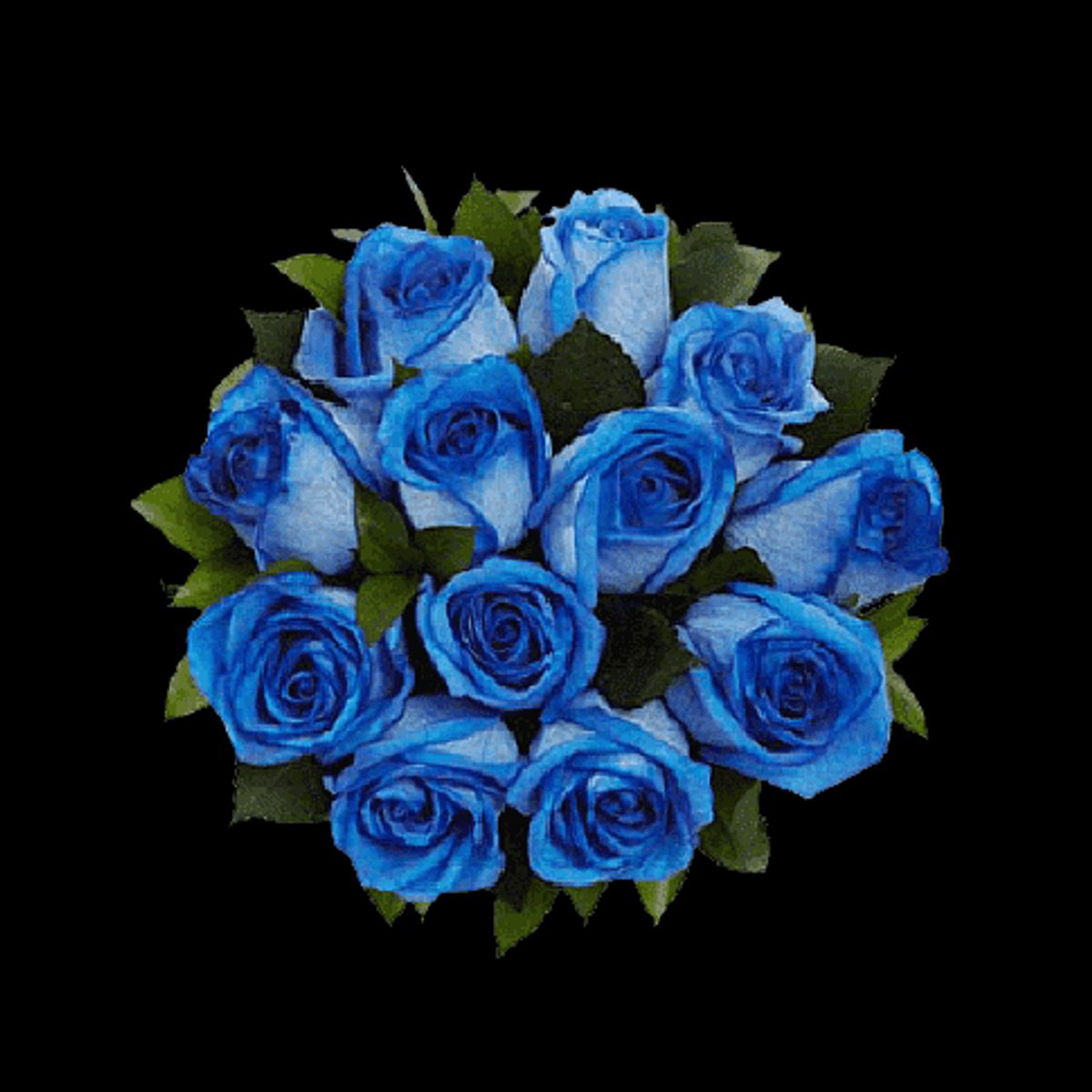 GENERICO - Ramo 12 Rosas Azules