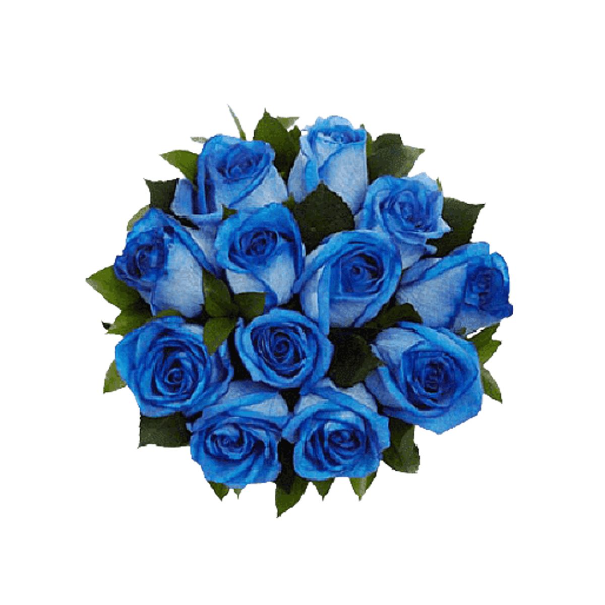 GENERICO - Ramo 12 Rosas Azules