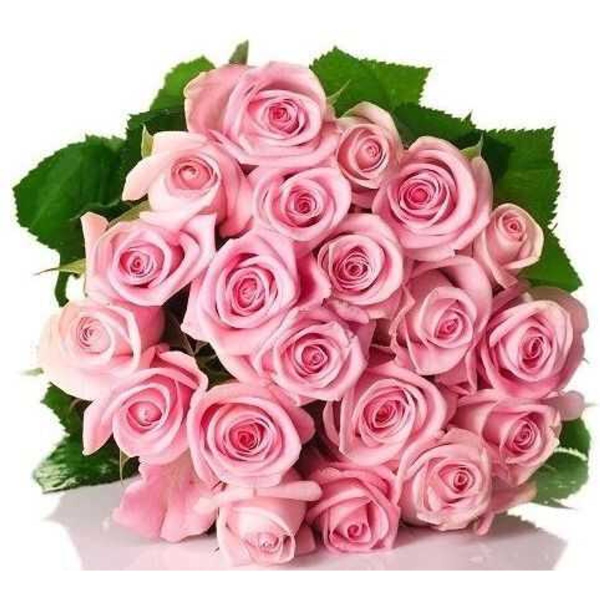 GENERICO - Ramo de 24 Rosas Rosado