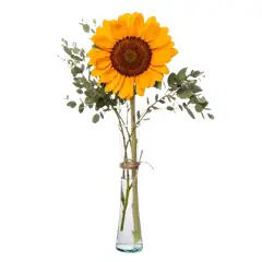 GENERICO - Girasol Solitario en Florero
