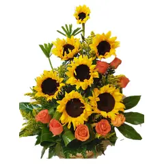 GENERICO - Arreglo de 7 Girasoles y 8 Rosas