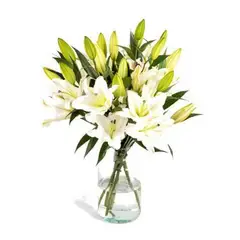 GENERICO - Florero Cilindro de Lilium Blanco