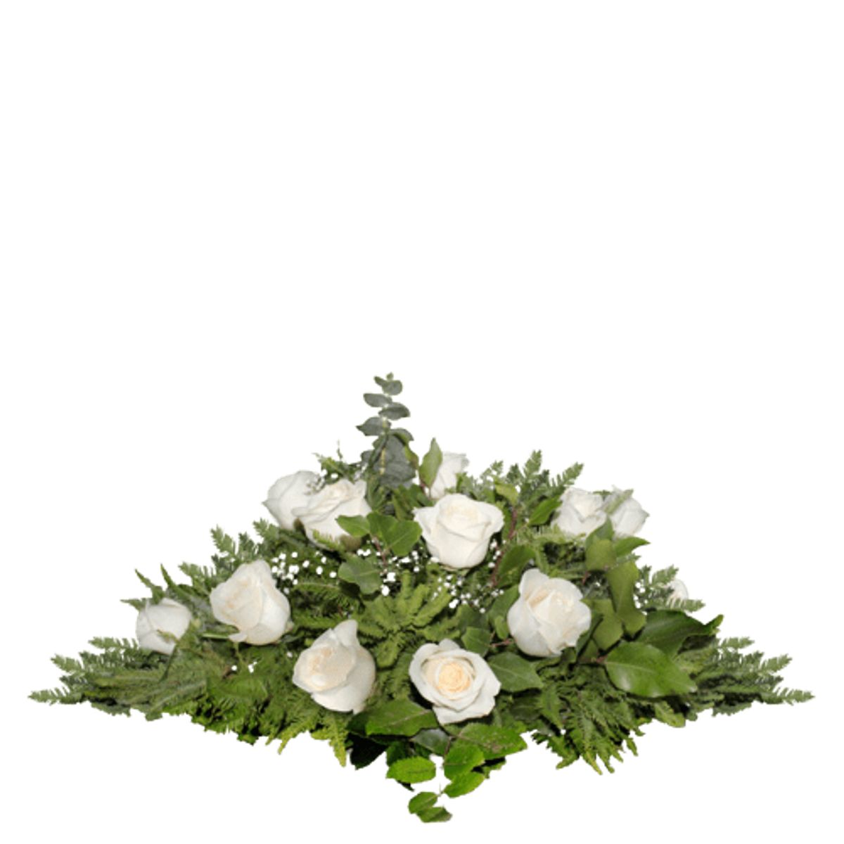 GENERICO - Cubre urna de 12 Rosas Blancas