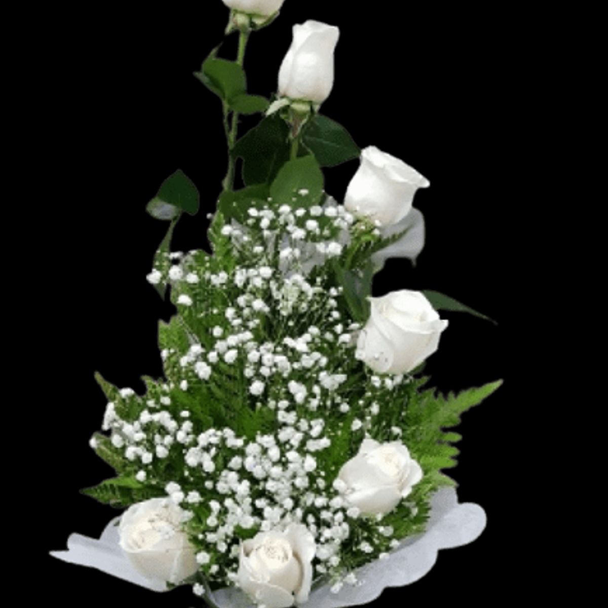 GENERICO - Arreglo de 7 Rosas para Condolencias