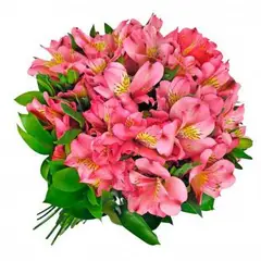 GENERICO - Ramo de Astromelias