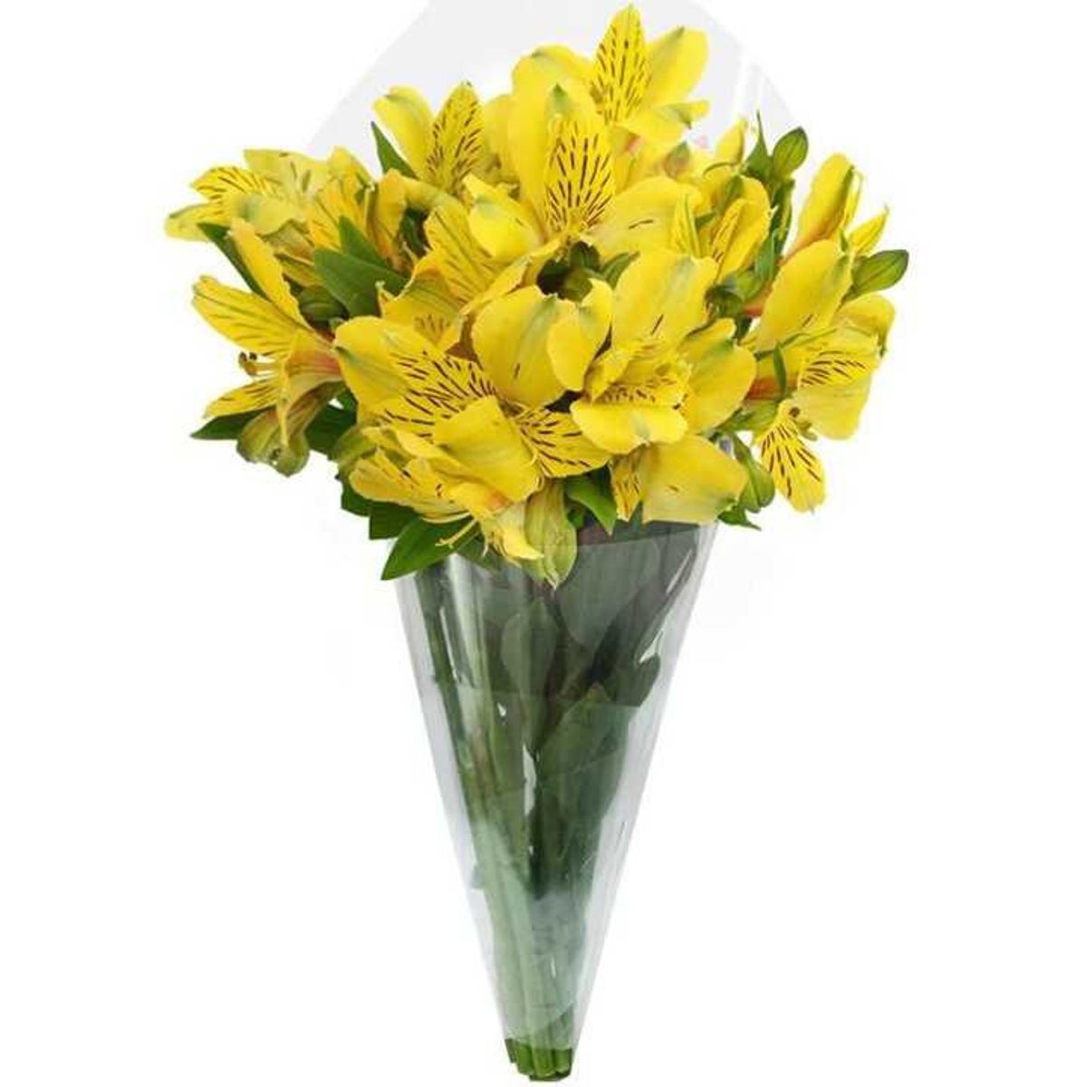 GENERICO - Ramo de Astromelias