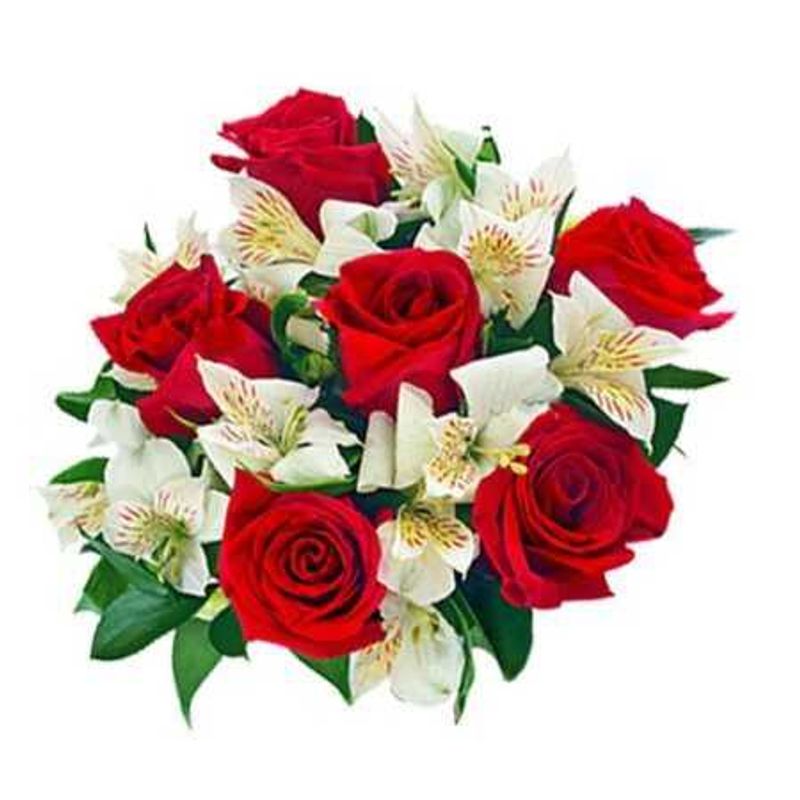GENERICO - Ramo de 6 Rosas Rojas y Astromelias