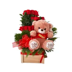 GENERICO - Base de 12 Rosas con Peluche 30cm