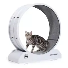 ANYHOGAR - Rueda De Ejercicios Para Gatos Rueda Entrenamiento Xl 80cm
