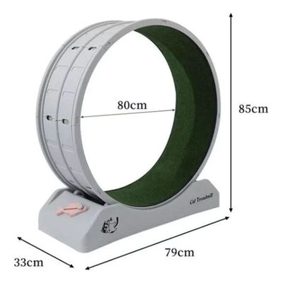 Imagen 2 del producto Rueda De Ejercicios Para Gatos Rueda Entrenamiento Xl 80cm