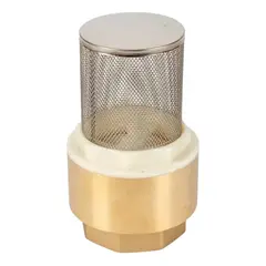 TAUMM - Válvula de Retención de Fondo 1 Pulgada con Filtro