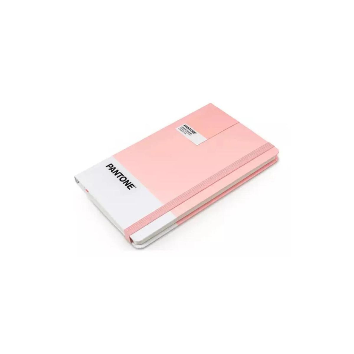 GENERICO - Libreta Grande 21x13cm Con Elastico. Pantone - Rosa
