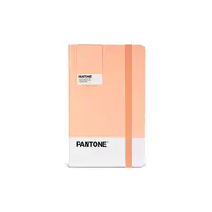 GENERICO - Libreta Grande 21x13cm Con Elastico. Pantone - Naranja claro
