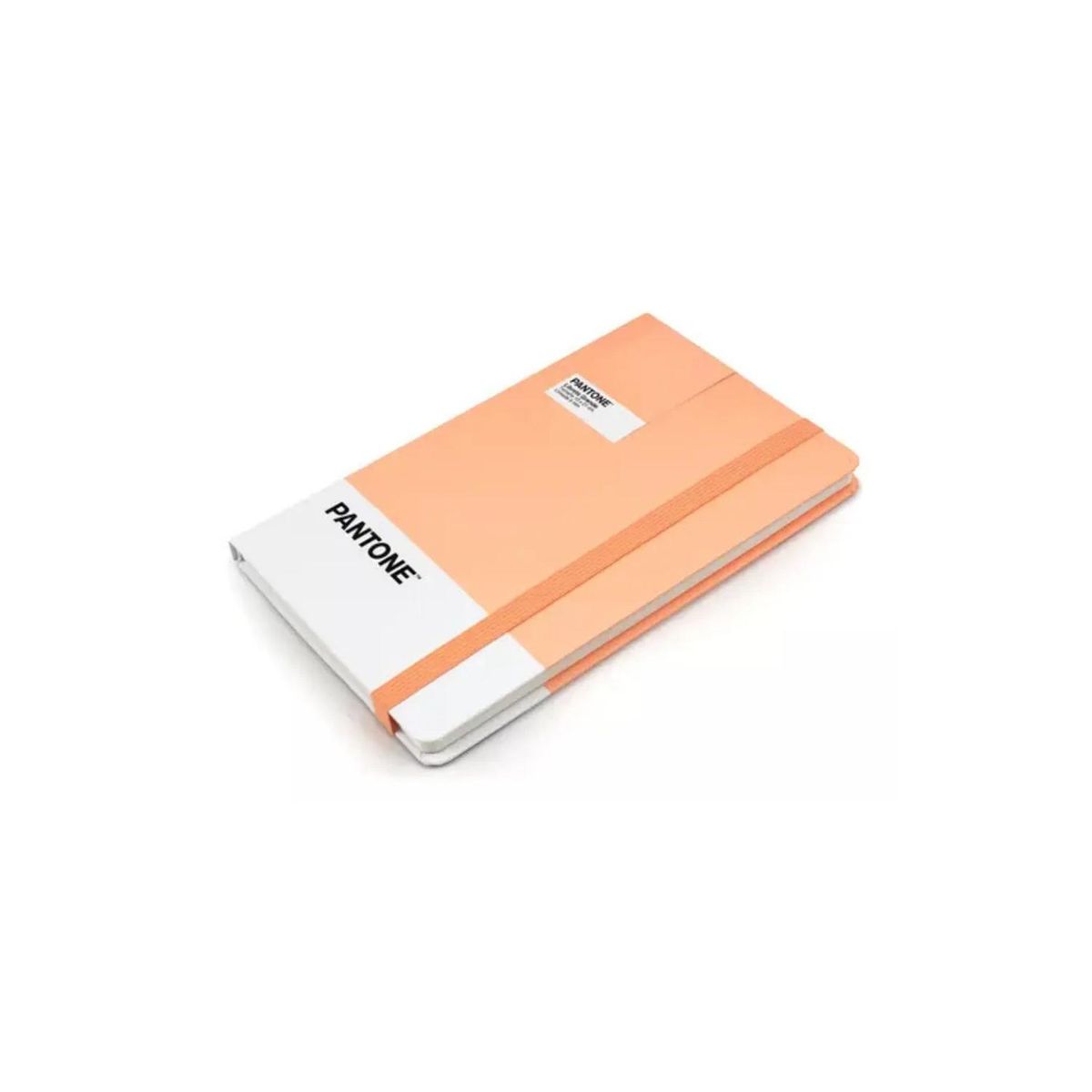 GENERICO - Libreta Grande 21x13cm Con Elastico. Pantone - Naranja claro