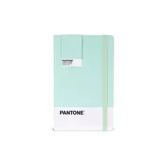 GENERICO - Libreta Grande 21x13cm Con Elastico. Pantone - Verde claro