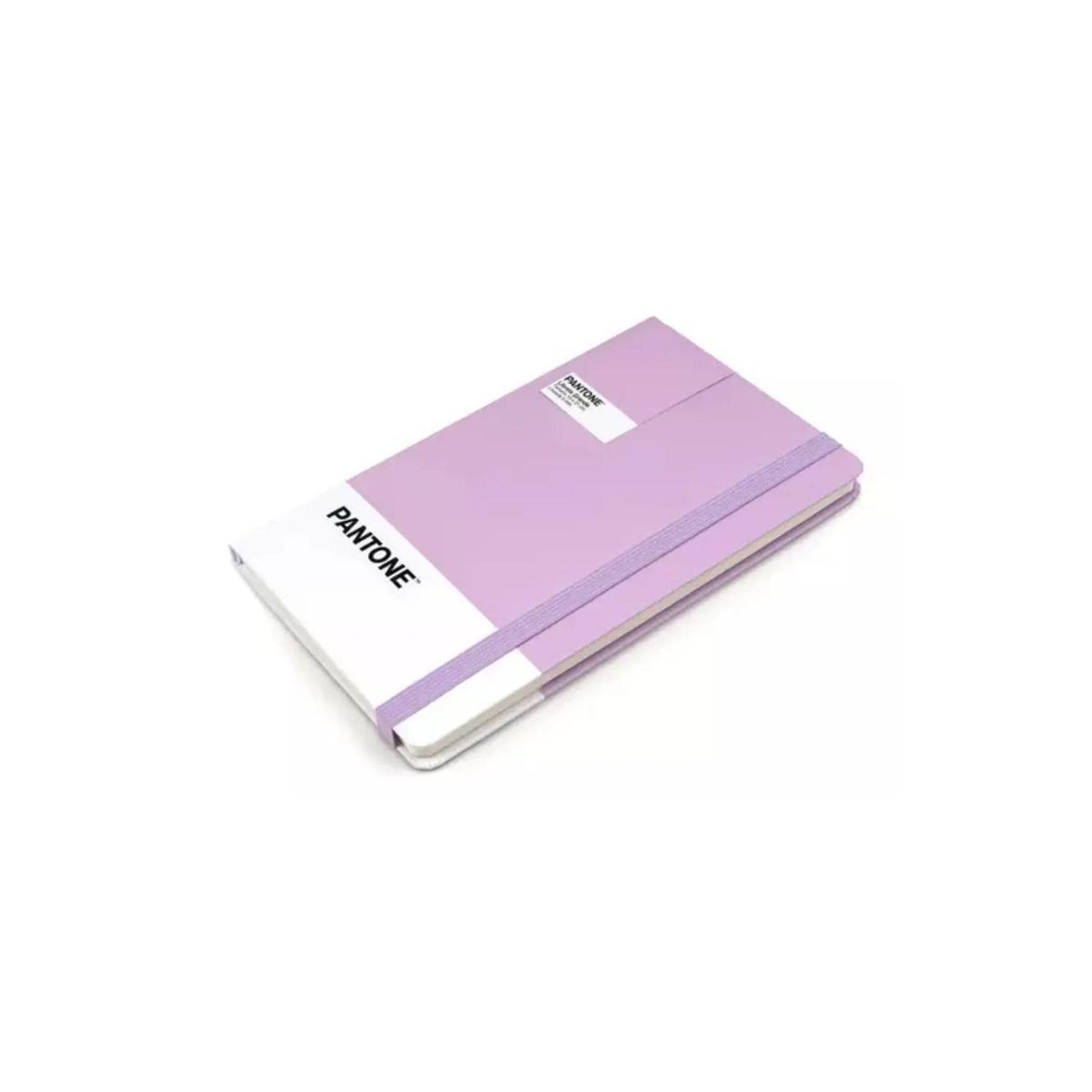 GENERICO - Libreta Grande 21x13cm Con Elastico. Pantone - Lila