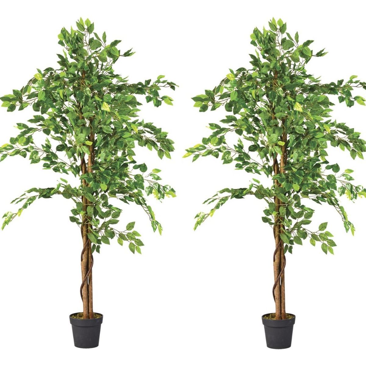 ARBUSTO REAL - 2 X 1 Plantas Artificiales Ficus 160 Cm Verde