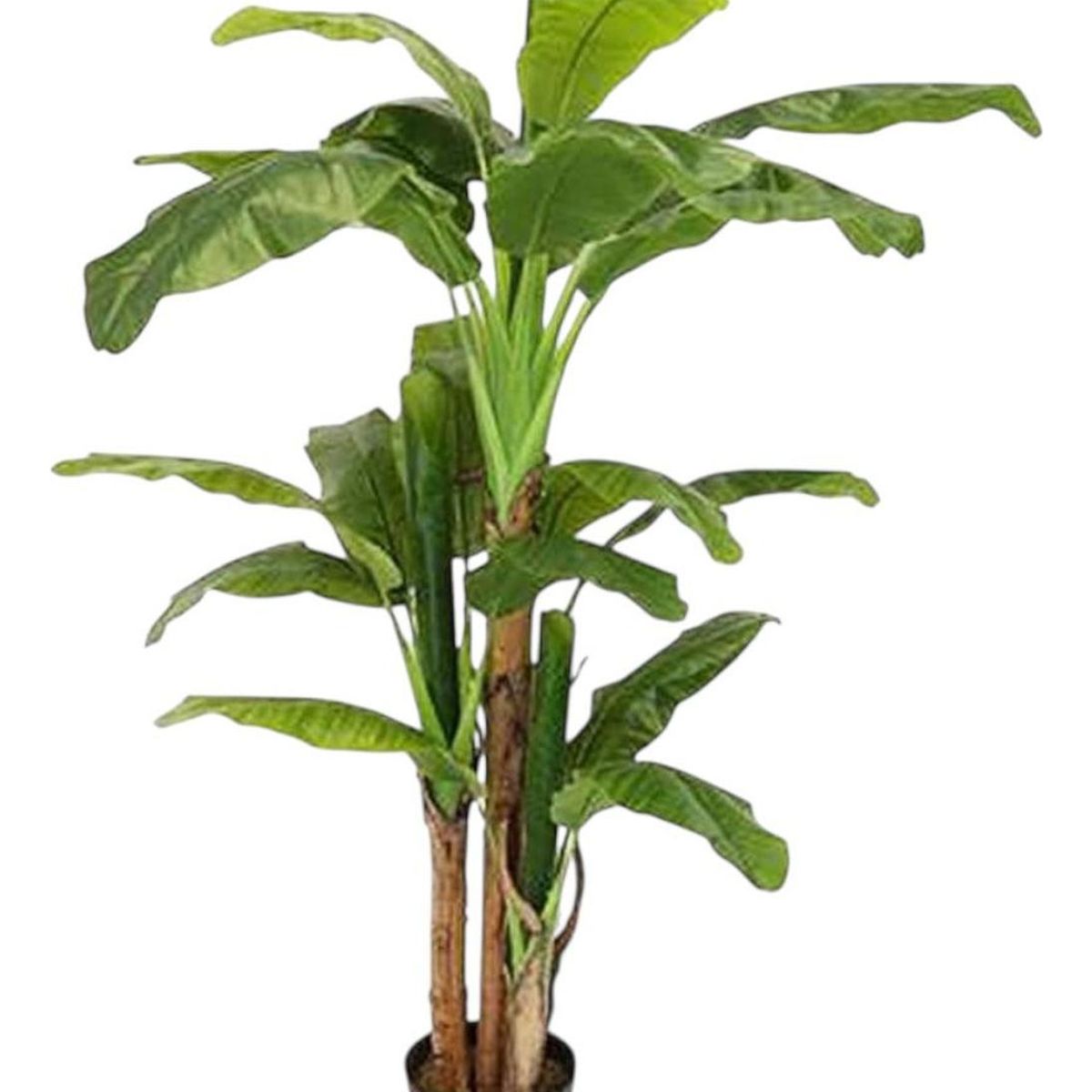ARBUSTO REAL - Planta Artificial Banano 230 Cm Verde