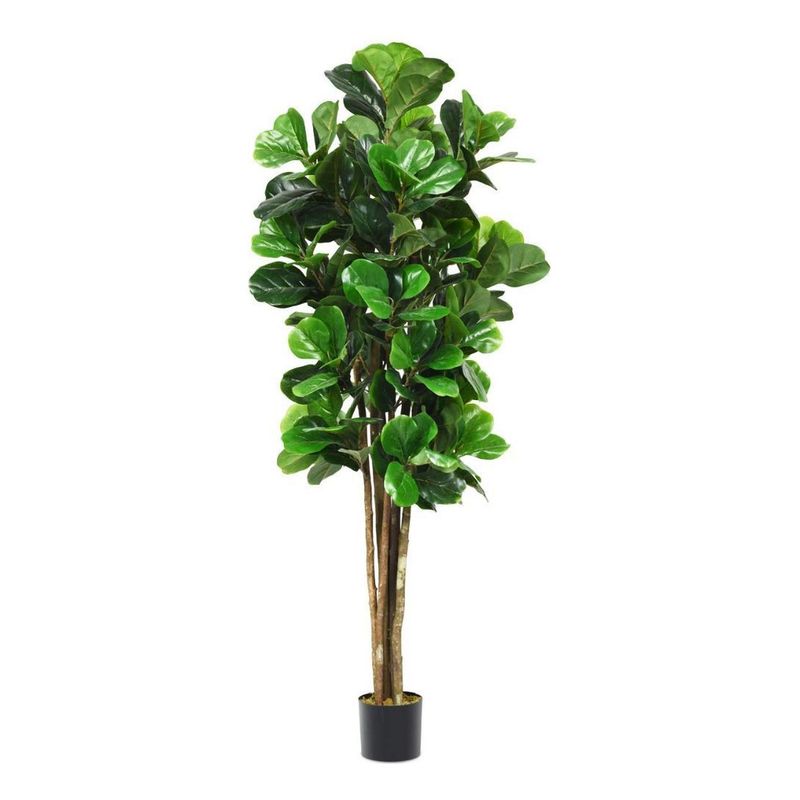 ARBUSTO REAL - Planta Artificial Ficus Lirata 180 cm  254 hojas Verde