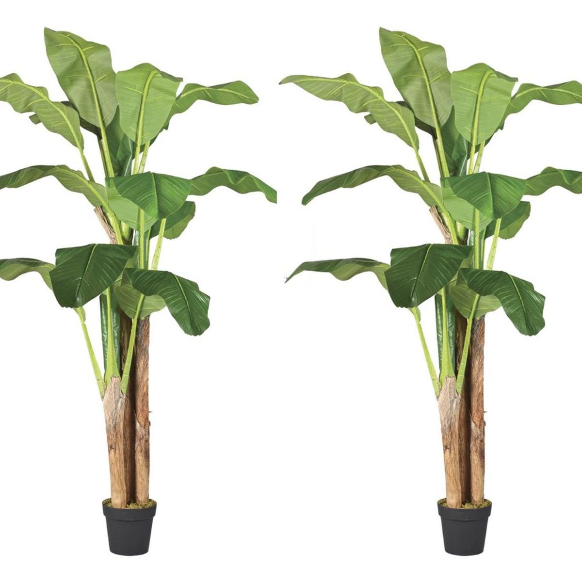 ARBUSTO REAL - 2 X 1 Plantas Artificiales Banano 180 Cm Verde